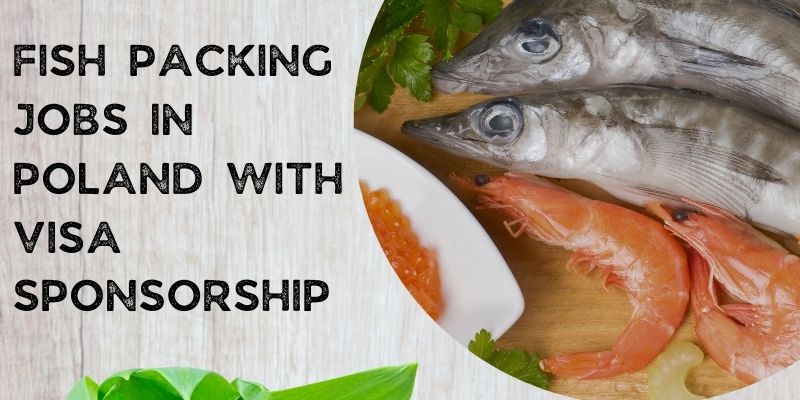 Fish Packing Jobs in Poland with Visa Sponsorship 2024